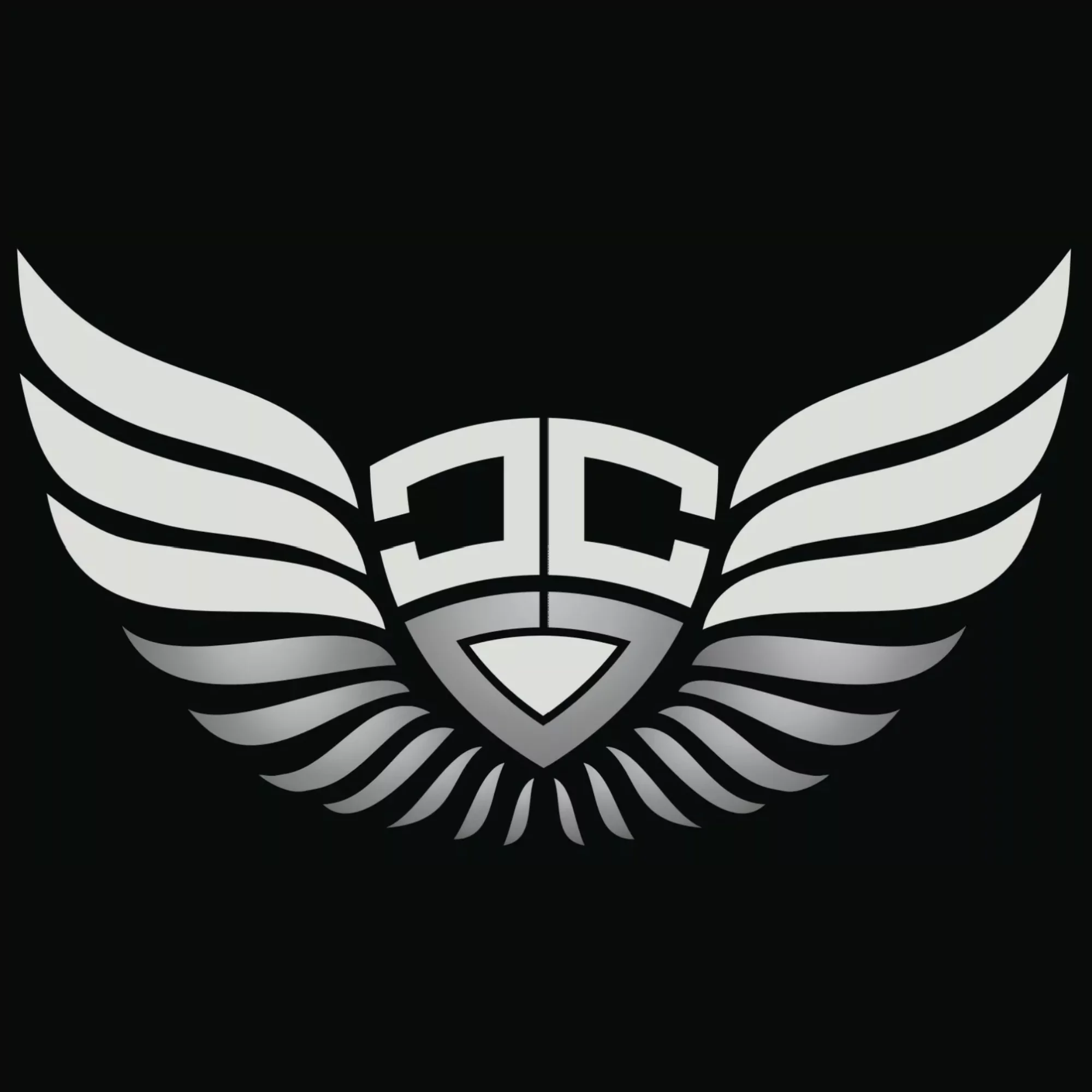 Carey Concealment Site Logo Site Icon